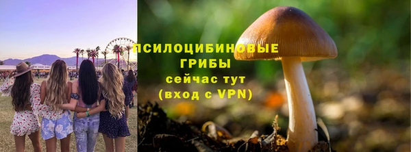стафф Ханты-Мансийск
