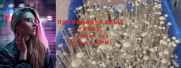 стафф Ханты-Мансийск