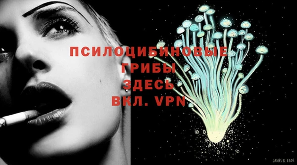 винт Фурманов